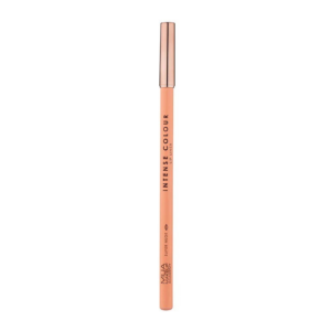 LOVELY Lipliner Perfect Line No 1