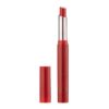 SATIN SHEEN LIP STYLO - AGENDA
